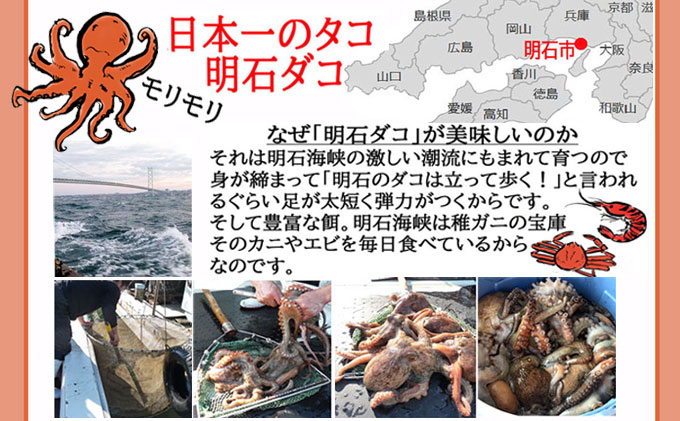 【ふるさと納税】明石ダコのやわらか煮6個と明石蛸のたこ飯の素 タコ 魚貝類 加工食品 惣菜 f282031-akashi-10000556 兵庫県明石市 サンプル画像3
