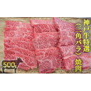 神戸牛 【ふるさと納税】神戸牛特選（三角バラ）焼肉 500g　【お肉・牛肉・神戸牛・焼肉・バーベキュー】