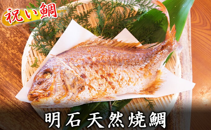 【ふるさと納税】 明石天然焼鯛 　【魚貝類・タイ・鯛・魚貝類・加工食品・天然焼鯛】