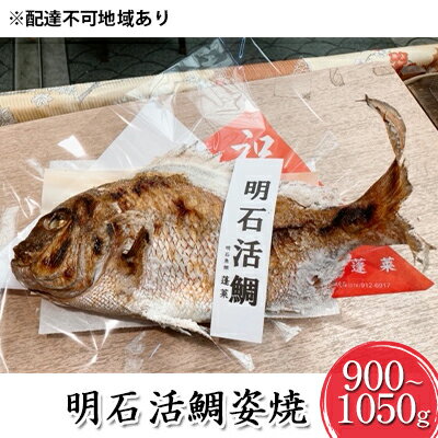 【ふるさと納税】明石活鯛姿焼 900～1050g[ 明石鯛 