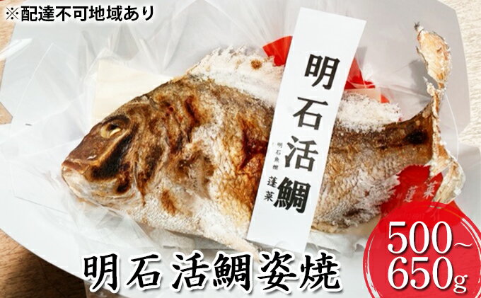 【ふるさと納税】明石活鯛姿焼 500～650g[ 明石鯛 鯛 焼鯛 祝い鯛 お祝い ]　【 魚貝類 タイ 鯛 加工食品 厳選 活鯛 贅沢 祝い レンジ お鍋 アヒージョ 】