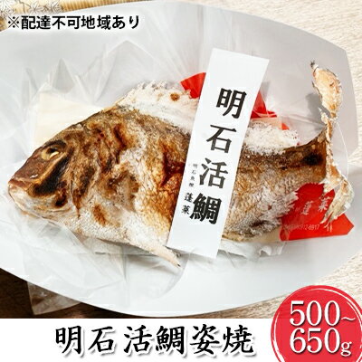 2位! 口コミ数「0件」評価「0」明石活鯛姿焼 500～650g[ 明石鯛 鯛 焼鯛 祝い鯛 お祝い ]　【 魚貝類 タイ 鯛 加工食品 厳選 活鯛 贅沢 祝い レンジ お鍋･･･ 