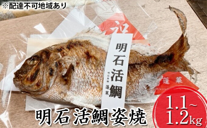 【ふるさと納税】明石活鯛姿焼 1100～1200g[ 明石鯛 鯛 焼鯛 祝い鯛 お祝い ]　【 魚貝類 タイ 鯛 加工食品 厳選 活鯛 贅沢 祝い レンジ お鍋 アヒージョ 】