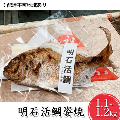 【ふるさと納税】明石活鯛姿焼 1100～1200g[ 明石鯛 鯛 焼鯛 祝い鯛 お祝い ]　【 魚貝類 タイ 鯛 加工食品 厳選 活鯛 贅沢 祝い レンジ お鍋 アヒージョ 】