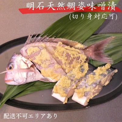 明石天然鯛姿味噌漬（切り身対応可）　【 魚貝類 漬魚 味噌漬け タイ 鯛 天然鯛 丸ごと 味噌 簡単調理 切り身 上質 】