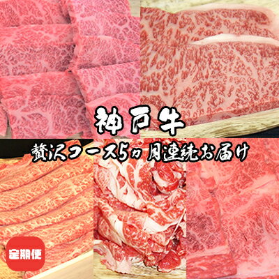 定期便 神戸牛 贅沢コース 5ヵ月連続お届け[ 肉 食べ比べ すき焼き ステーキ 焼肉 切落し 牛肉 ] [定期便・ お肉 国産 神戸ビーフ カルビ サーロイン 三角バラ 肩ロース ]