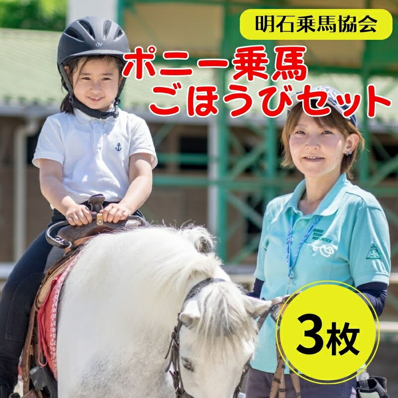 【ふるさと納税】明石乗馬協会 ポニー 乗馬 ごほうびセット 3枚　【 体験 チケット 馬 えさやり おや...