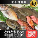 【ふるさと納税】とれとれBox（4種前後 7〜10匹）下処理可[ 鮮魚 旬 詰合せ 簡単料理 ]　【 魚介類 お魚 海鮮 海の幸 とれたて とれたての魚 新鮮 旬の魚 当日発送 季節の魚 魚料理 焼き魚 煮つけ お楽しみ 】