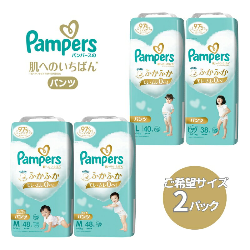 【ふるさと納税】[パンツタイプ] パンパース 「 肌いち 」 2パック[ Pampers おむつ オムツ ]　【 ベ...