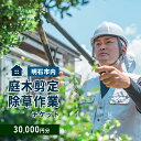 【ふるさと納税】庭木剪定・除草作業チケット 30000円分 【明石市内対象】 サービス 剪定 除草作業 草刈り 自宅 庭 別荘 空き家 ガーデニング