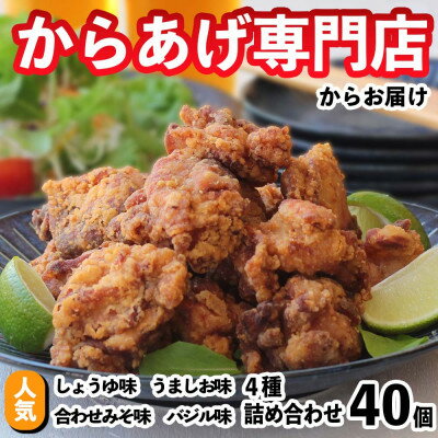 【ふるさと納税】からあげ専門店の大人気冷凍からあげ(4種×各