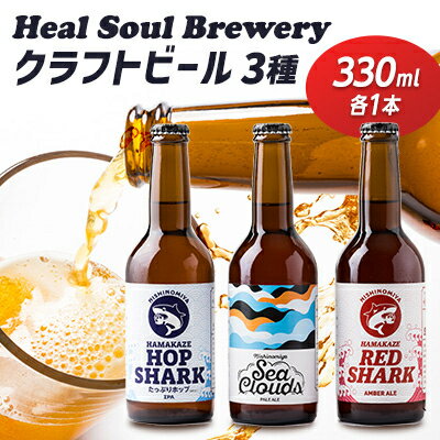 【ふるさと納税】西宮発!Heal Soul Breweryのクラフトビール　アソート3本セット【配送不可地域：離島...