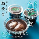 【ふるさと納税】冷やし 白玉しるこ16個入り(4)