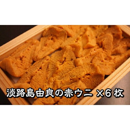 B094*淡路産由良の赤ウニ(80g×6枚)