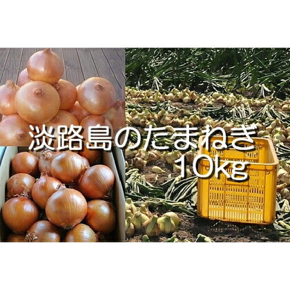 H032*淡路島産 中晩生たまねぎ10kg(1回発送)