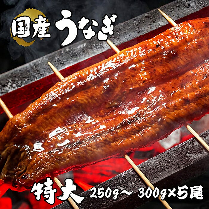 【ふるさと納税】BYA7*国産 特大 うなぎ蒲焼 5尾(真空瞬間冷凍)