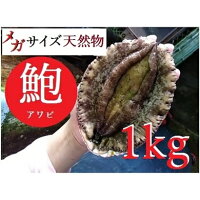 【ふるさと納税】AU95*【漁港直送】海水パックでお届け!淡路島産天然活きあわび超特大サイズ 約1kg