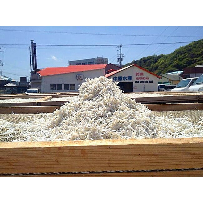 【ふるさと納税】AR08＊淡路島 中原水産の「天日干しちりめんじゃこ」500g