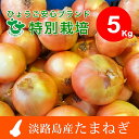 【ふるさと納税】EB13*兵庫県認証 特別栽培 淡路島たまね...