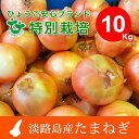 【ふるさと納税】EB14*兵庫県認証 特別栽培 淡路島たまね...