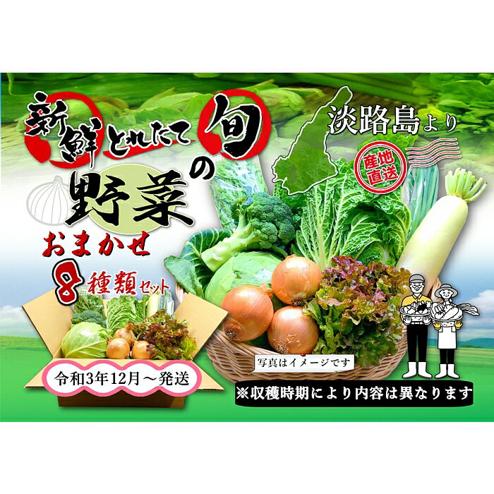 【ふるさと納税】FK10:淡路島産 生野菜/産地採れたてBOX（おまかせ8種類セット）