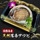 【ふるさと納税】淡路島産天然活赤アワビ 2個 兵庫県 洲本市 淡路島