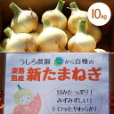 【ふるさと納税】淡路島産 新玉ねぎ 10kg うしろ農園 極早生 玉ねぎ 玉葱 タマネギ 甘い 野菜 兵庫県 洲本市 淡路島 お届け:12月1日~4月15日