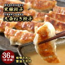 【ふるさと納税】黒豚餃子・九条ねぎ餃子 各1折セット【冷凍 ぎょうざ ギョザ 中華 点心 惣菜 ギフト お中元 お歳暮】 加工品 冷凍餃子 おかず 夕飯 黒豚...