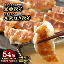 【ふるさと納税】黒豚餃子2折・九条ねぎ餃子1折セット【冷凍 ぎょうざ ギョザ 中華 点心 惣菜 ギフト お中元 お歳暮】 加工品 冷凍餃子 おかず 夕飯 黒豚...