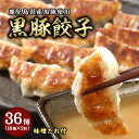 【ふるさと納税】黒豚餃子2折セット【冷凍 ぎょうざ ギョザ 中華 点心 惣菜 ギフト お中元 お歳暮】 おかず ジューシー 肉汁 つまみ 中華料理 冷凍惣菜