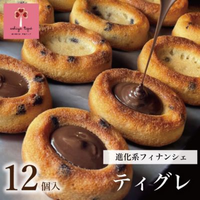 進化系フィナンシェ！ティグレプレーン12個入　【 お菓子 スイーツ 焼菓子 洋菓子 伝統菓 しっとり おやつ ティータイム 甘いもの お土産 手土産 】