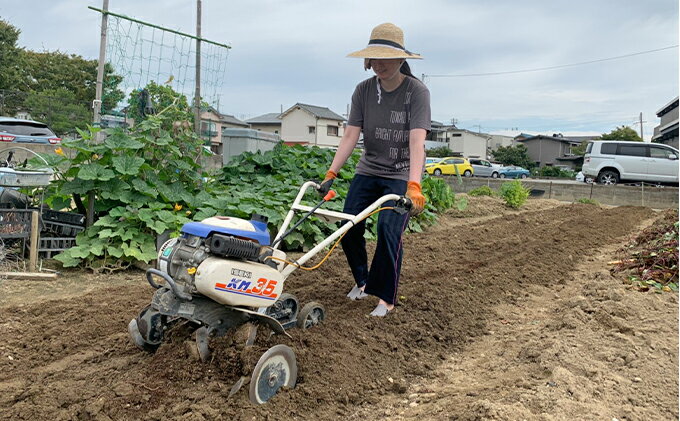 【ふるさと納税】紅はるか伊丹の干し芋 丸干し芋...の紹介画像3