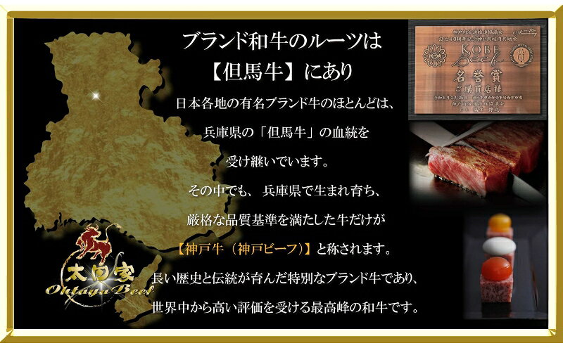 兵庫県伊丹市の【ふるさと納税】神戸ビーフ ITST10 ロースステーキ 1000g (250g×4枚) 神戸牛 ロース ステーキ 牛肉 太田家 肉 冷凍 神戸肉 兵庫県 伊丹市 お肉　お届け：2026年4月上旬～2026年11月下旬｜アングル3