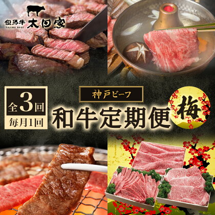 神戸ビーフ IT-「梅」 定期便「梅」コース　【定期便・お肉・牛肉・焼肉・バーベキュー・お肉・牛肉・すき焼き・牛肉/しゃぶしゃぶ】