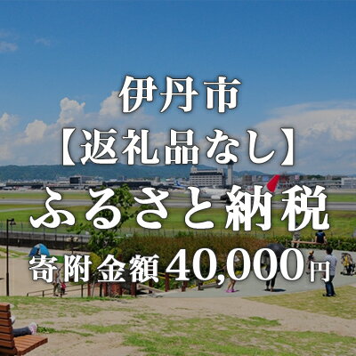 5位! 口コミ数「0件」評価「0」寄附のみの応援受付 40,000円コース（返礼品なし 寄附のみ 40,000円）　【 寄付 】