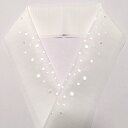 【ふるさと納税】半衿 絽 ドット柄 白地に白 刺繍 半襟 和装 民芸品 工芸品 伝統技術 篠原縫製 お届け:ご入金確認後、約1週間ほどで発送いたします。