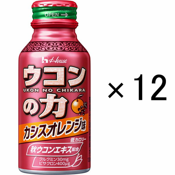 ハウスウェルネスフーズ ウコンの力 カシスオレンジ味 2パック ( 12缶 ) 飲料 ドリンク ウコンの力 ウコン ウコンエキスドリンク 飲み会 お酒 二日酔い 兵庫県 伊丹市 果汁飲料 ジュース 飲料類 セット