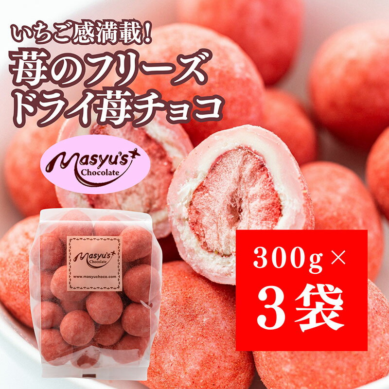 苺のフリーズドライ苺チョコ900g 300gx3袋 4月〜10月発送 チョコレート チョコ スイーツ お菓子 おかし いちご ホワイトチョコ イチゴ パウダー ギフト プレゼント 兵庫県 伊丹市 お届け:2025年4月〜2025年10月に発送