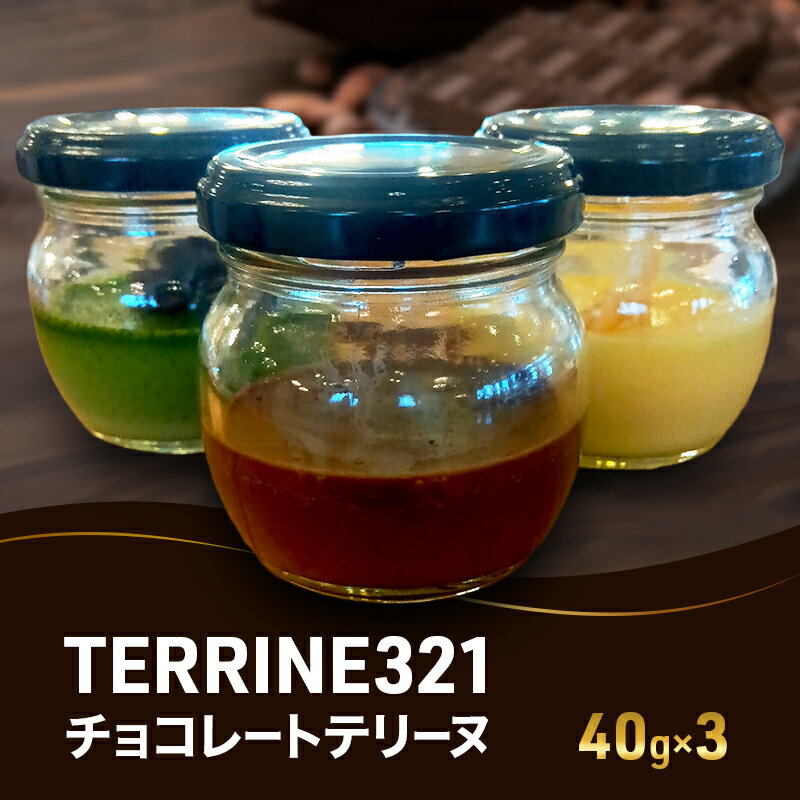 チョコレートテリーヌ40g×3 お菓子 洋菓子 スイーツ おやつ チョコレート チョコ テリーヌ 贈り物 ギフト ご褒美