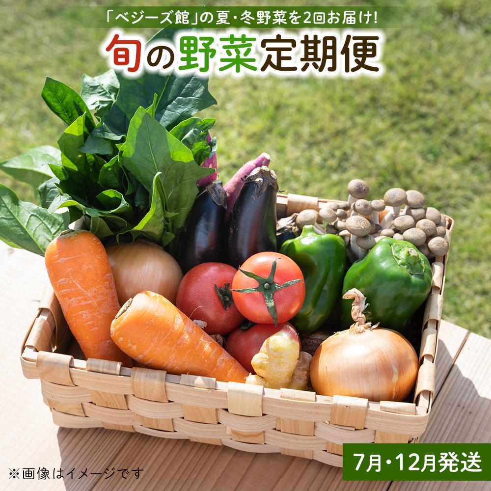 「ベジーズ館」の夏・冬野菜 年2回コース (7月と12月発送)