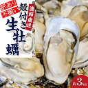 【ふるさと納税】★先行予約★《訳あり・不揃い》殻付き生牡蠣 3kg 【漁師直送!】冷蔵配送