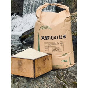 【ふるさと納税】矢野川のお米　ヒノヒカリ玄米8kg