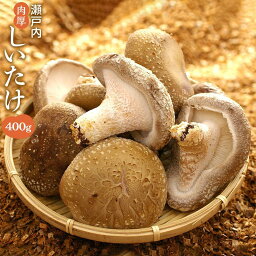 【ふるさと納税】瀬戸内 しいたけ 400g ( 200g × 2パック ) | 椎茸 野菜 やさい シイタケ きのこ 生椎茸 ご当地 お取り寄せ グルメ 味噌汁 鍋 お鍋 野菜炒め 兵庫県 相生市 国産