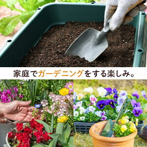 【ふるさと納税】【通年受付】季節の花苗セット（10～16ポット） | お花 植物 ガーデニング 季節のお花 花苗 人気 おすすめ 送料無料