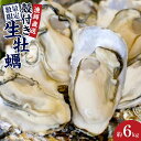 【ふるさと納税】殻付き生牡蠣 6kg【漁師直送！】 | 兵庫県 兵庫 楽天ふるさと 納税 支援 返礼品 お取り寄せグルメ 取り寄せ グルメ 牡蠣 かき カキ 魚介類 魚介 海の幸 産地直送 産直 生ガキ 海鮮 殻付き牡蠣 海産物 貝 国産 贅沢 ご当地