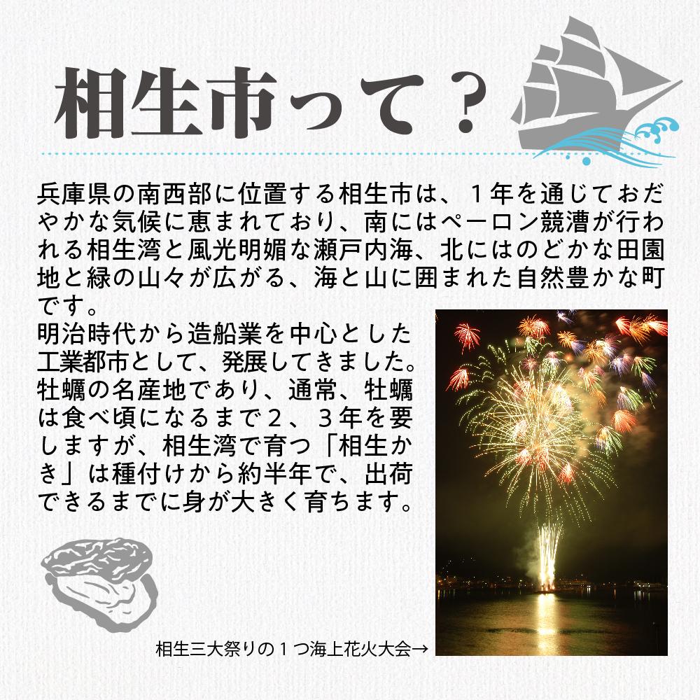 【ふるさと納税】【返礼品なし】兵庫県相生市への寄付（3,000円分） | 返礼品 人気 おすすめ 送料無料