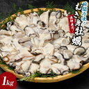 【ふるさと納税】瞬間冷凍！冷凍むき身牡蠣1kg【漁師直...