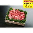 【ふるさと納税】神戸牛 不揃いのサイコロステーキ ロース ヒレ 肩ロース かた もも 600g入り 選べるパック数(1,2,3)/ 訳あり サイコロステーキ 焼肉用 牛 霜降り 黒毛和牛 国産牛 ステーキ 肉 TYDS3 TYDS3-2 TYDS3-3【但馬牛太田家】【レビューキャンペーン対象商品】