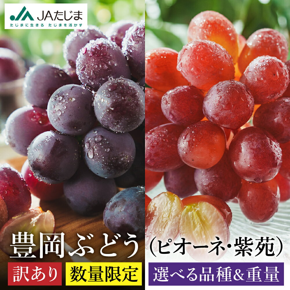 【ふるさと納税】数量限定 訳あり 豊岡ぶどう ピオーネ・紫苑 選べる内容量 2・4・6・8パック / 1パック約300g ピオーネ 紫苑 ブドウ 葡萄 訳ありぶ...