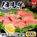 【ふるさと納税】希少部位入り！極上但馬牛 焼肉セット 3種盛り【ロース モモ 希少部位1種 合計600g】牛肉 焼肉 セット 焼き肉 お取り寄せ お肉 精肉 グルメ 牛 肉 但馬牛 黒毛和牛 霜降り やきにく